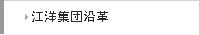 江洋集団沿革