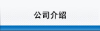 公司介绍